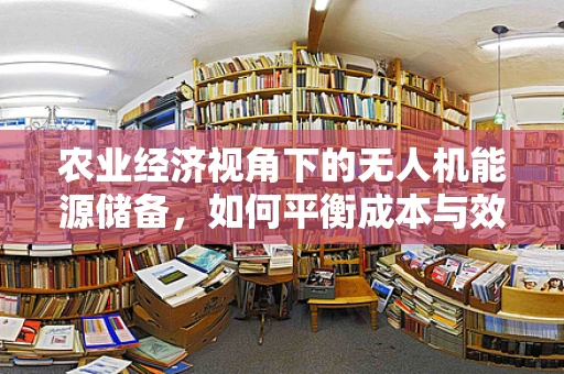农业经济视角下的无人机能源储备，如何平衡成本与效率？