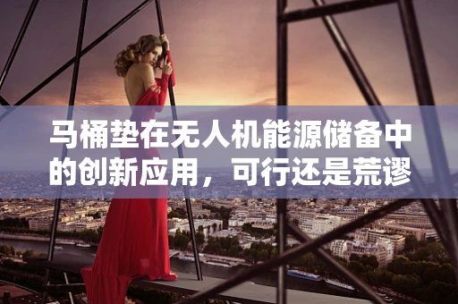 马桶垫在无人机能源储备中的创新应用，可行还是荒谬？