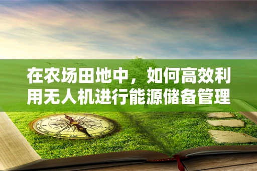 在农场田地中，如何高效利用无人机进行能源储备管理？