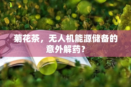 菊花茶，无人机能源储备的意外解药？