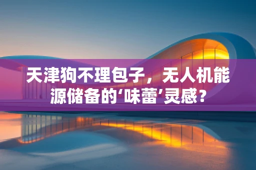 天津狗不理包子，无人机能源储备的‘味蕾’灵感？