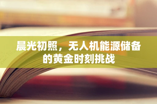 晨光初照，无人机能源储备的黄金时刻挑战