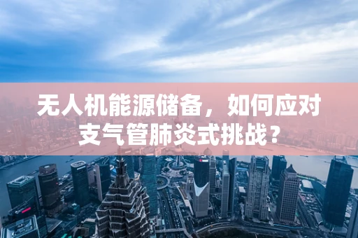 无人机能源储备，如何应对支气管肺炎式挑战？
