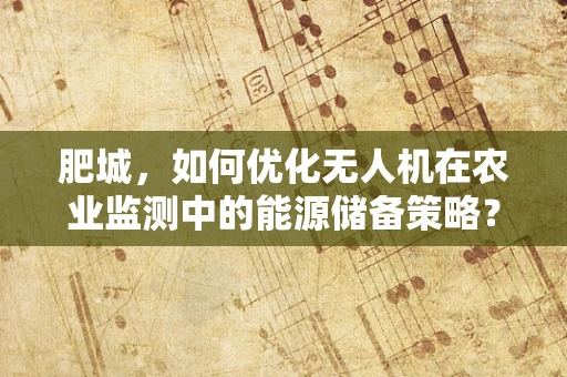 肥城，如何优化无人机在农业监测中的能源储备策略？