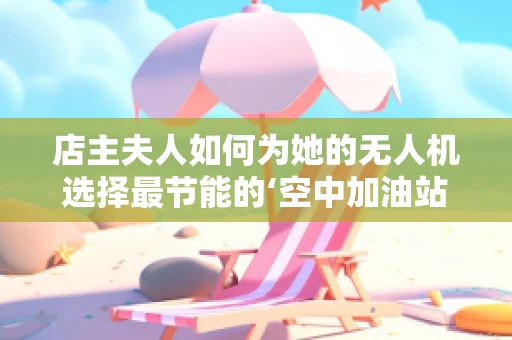 店主夫人如何为她的无人机选择最节能的‘空中加油站’？