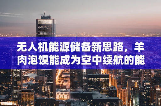 无人机能源储备新思路，羊肉泡馍能成为空中续航的能量站吗？