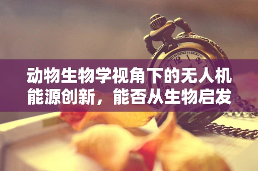动物生物学视角下的无人机能源创新，能否从生物启发的角度提升无人机续航力？