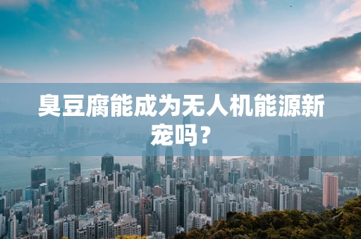臭豆腐能成为无人机能源新宠吗？