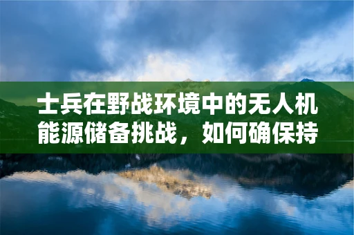 士兵在野战环境中的无人机能源储备挑战，如何确保持续作战能力？