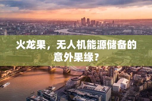 火龙果，无人机能源储备的意外果缘？