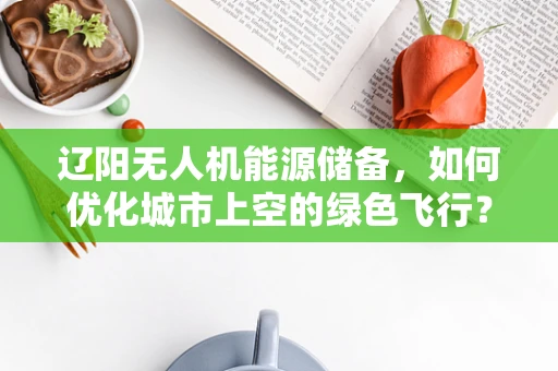 辽阳无人机能源储备，如何优化城市上空的绿色飞行？