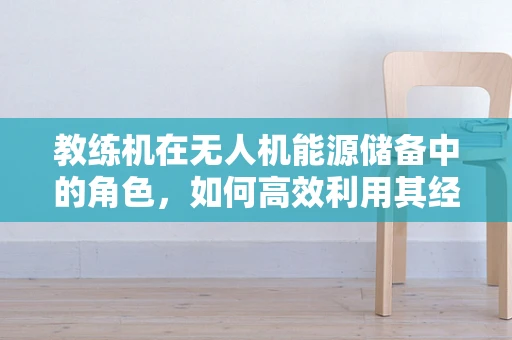 教练机在无人机能源储备中的角色，如何高效利用其经验进行自主飞行优化？