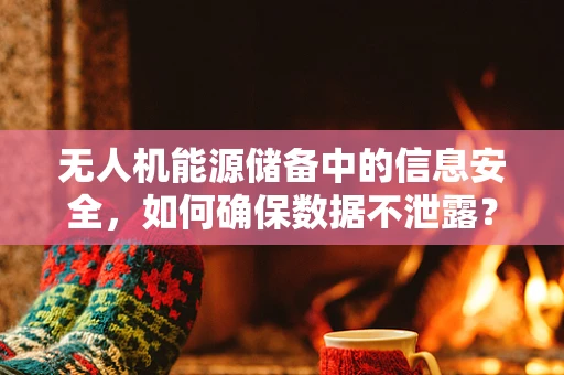无人机能源储备中的信息安全，如何确保数据不泄露？