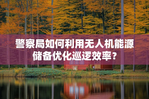 警察局如何利用无人机能源储备优化巡逻效率？