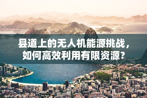 县道上的无人机能源挑战，如何高效利用有限资源？