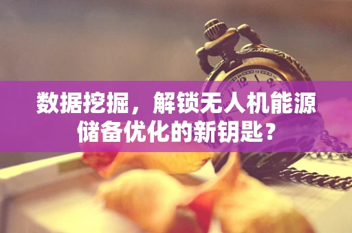 数据挖掘，解锁无人机能源储备优化的新钥匙？