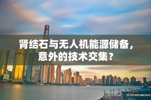 肾结石与无人机能源储备，意外的技术交集？