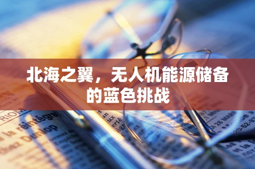 北海之翼，无人机能源储备的蓝色挑战