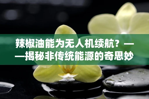 辣椒油能为无人机续航？——揭秘非传统能源的奇思妙想