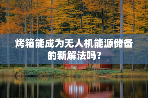 烤箱能成为无人机能源储备的新解法吗？