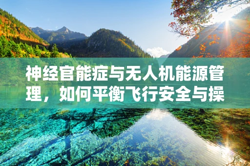 神经官能症与无人机能源管理，如何平衡飞行安全与操作员心理健康？