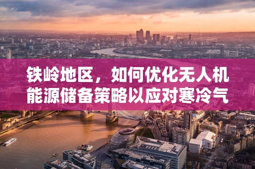 铁岭地区，如何优化无人机能源储备策略以应对寒冷气候挑战？