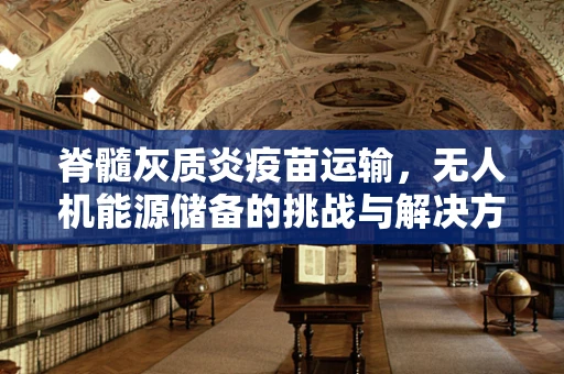 脊髓灰质炎疫苗运输，无人机能源储备的挑战与解决方案