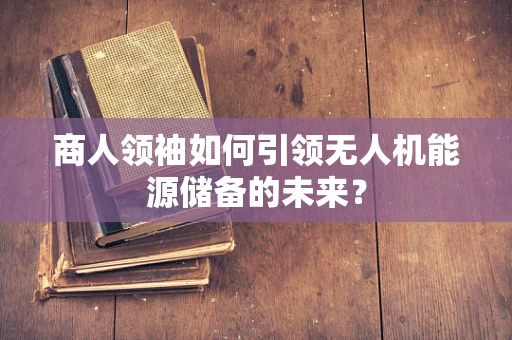 商人领袖如何引领无人机能源储备的未来？