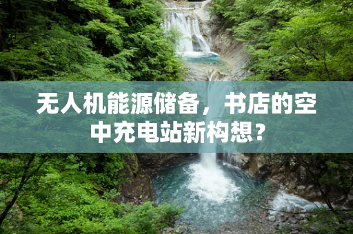 无人机能源储备，书店的空中充电站新构想？