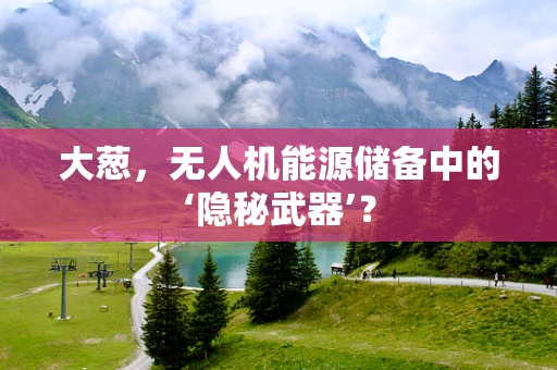 大葱，无人机能源储备中的‘隐秘武器’？