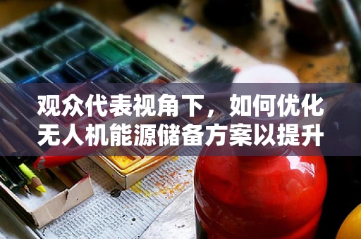 观众代表视角下，如何优化无人机能源储备方案以提升飞行体验？
