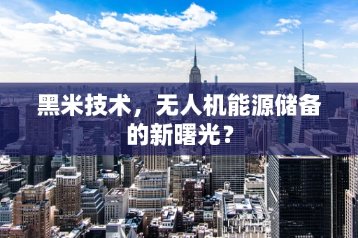黑米技术，无人机能源储备的新曙光？