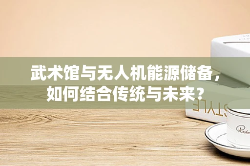 武术馆与无人机能源储备，如何结合传统与未来？