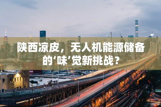 陕西凉皮，无人机能源储备的‘味’觉新挑战？