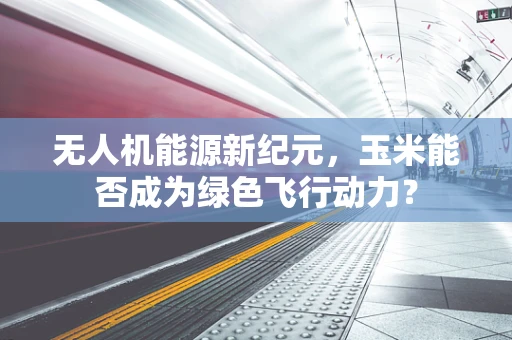 无人机能源新纪元，玉米能否成为绿色飞行动力？