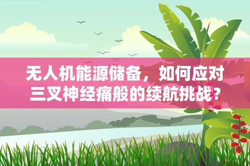 无人机能源储备，如何应对三叉神经痛般的续航挑战？