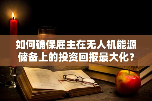 如何确保雇主在无人机能源储备上的投资回报最大化？
