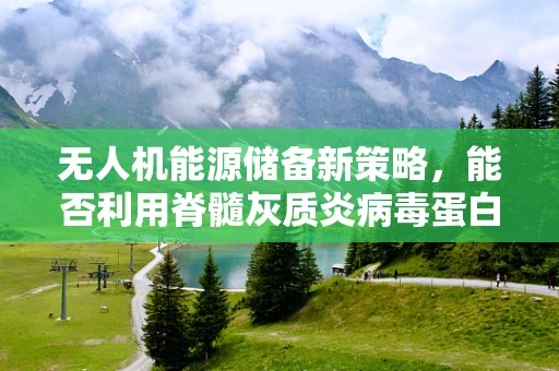 无人机能源储备新策略，能否利用脊髓灰质炎病毒蛋白提升电池效率？