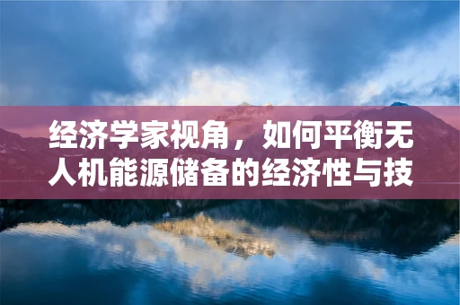 经济学家视角，如何平衡无人机能源储备的经济性与技术性？