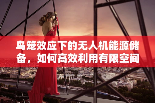 鸟笼效应下的无人机能源储备，如何高效利用有限空间？