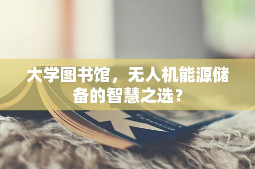 大学图书馆，无人机能源储备的智慧之选？