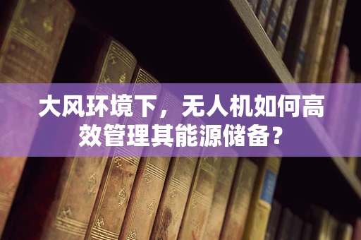 大风环境下，无人机如何高效管理其能源储备？