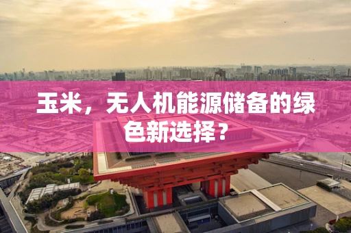 玉米，无人机能源储备的绿色新选择？