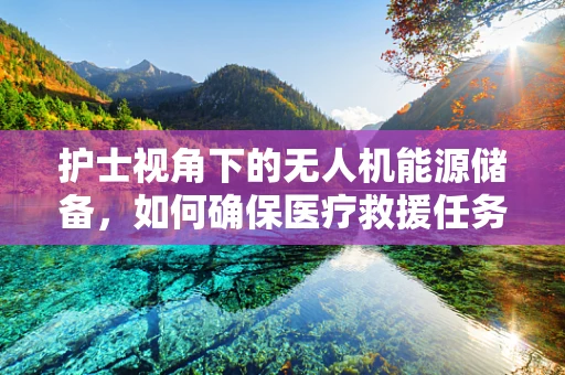 护士视角下的无人机能源储备，如何确保医疗救援任务中的持续飞行？