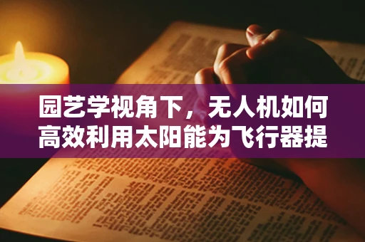 园艺学视角下，无人机如何高效利用太阳能为飞行器提供持续能源？