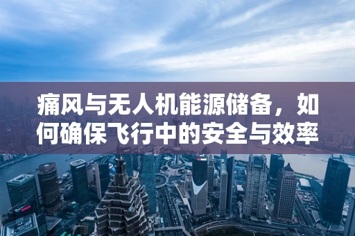 痛风与无人机能源储备，如何确保飞行中的安全与效率？