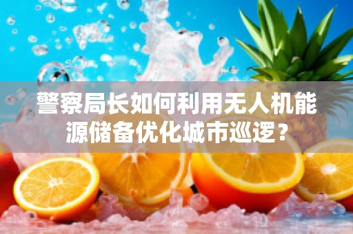 警察局长如何利用无人机能源储备优化城市巡逻？