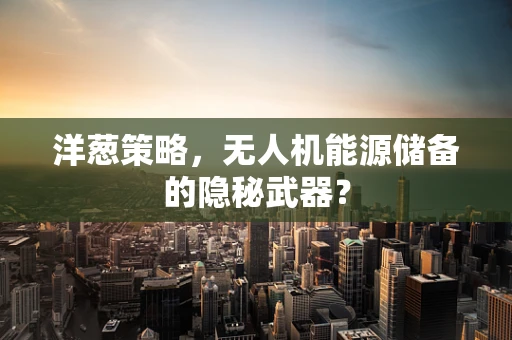 洋葱策略，无人机能源储备的隐秘武器？