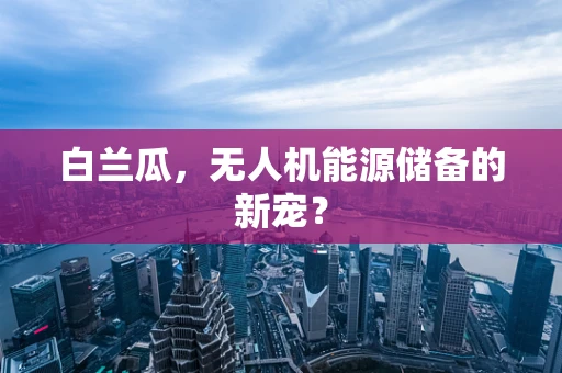 白兰瓜，无人机能源储备的新宠？