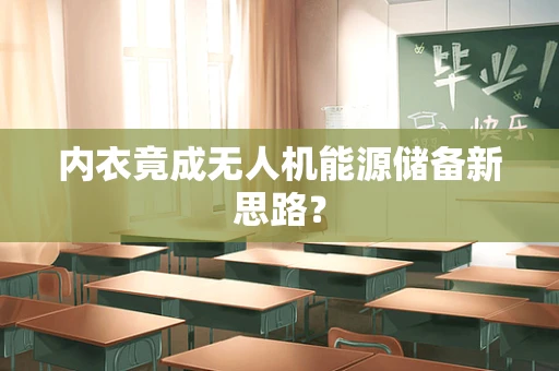 内衣竟成无人机能源储备新思路？